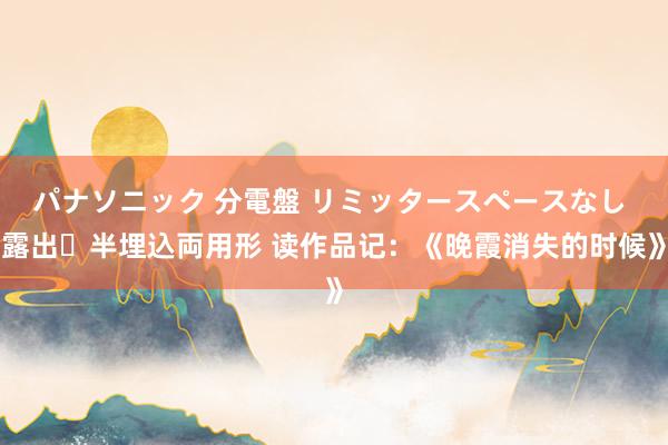 パナソニック 分電盤 リミッタースペースなし 露出・半埋込両用形 读作品记：《晚霞消失的时候》
