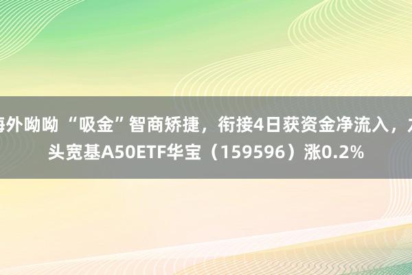 海外呦呦 “吸金”智商矫捷，衔接4日获资金净流入，龙头宽基A50ETF华宝（159596）涨0.2%