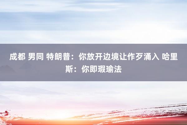 成都 男同 特朗普：你放开边境让作歹涌入 哈里斯：你即瑕瑜法
