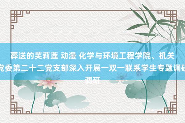 葬送的芙莉莲 动漫 化学与环境工程学院、机关党委第二十二党支部深入开展一双一联系学生专题调研