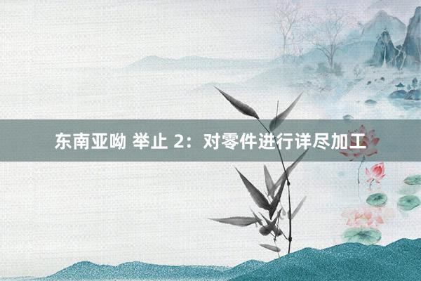 东南亚呦 举止 2：对零件进行详尽加工