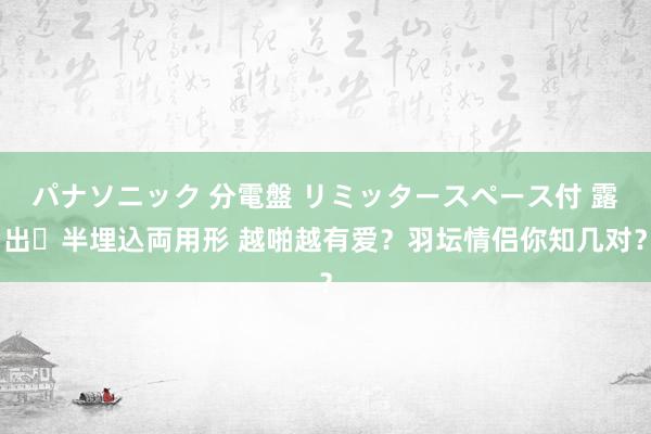パナソニック 分電盤 リミッタースペース付 露出・半埋込両用形 越啪越有爱？羽坛情侣你知几对？