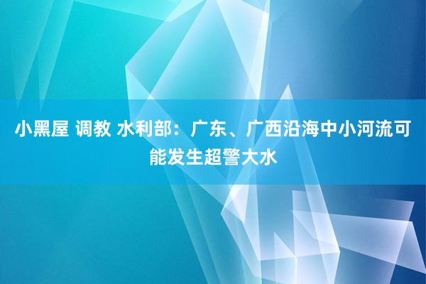 小黑屋 调教 水利部：广东、广西沿海中小河流可能发生超警大水