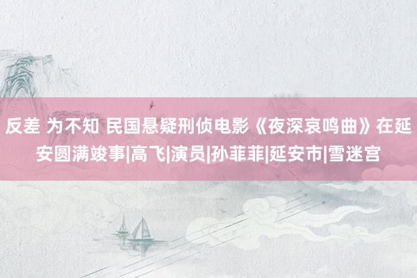 反差 为不知 民国悬疑刑侦电影《夜深哀鸣曲》在延安圆满竣事|高飞|演员|孙菲菲|延安市|雪迷宫