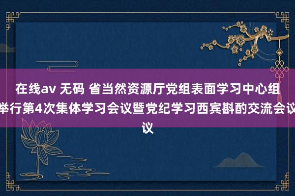 在线av 无码 省当然资源厅党组表面学习中心组举行第4次集体学习会议暨党纪学习西宾斟酌交流会议