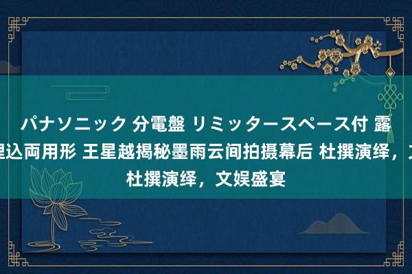 パナソニック 分電盤 リミッタースペース付 露出・半埋込両用形 王星越揭秘墨雨云间拍摄幕后 杜撰演绎，文娱盛宴