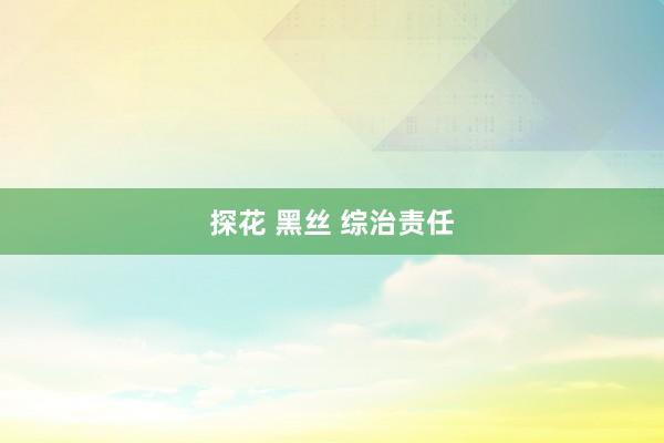 探花 黑丝 综治责任