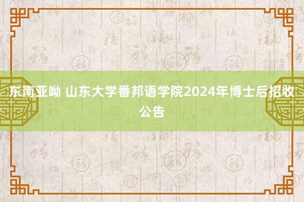东南亚呦 山东大学番邦语学院2024年博士后招收公告