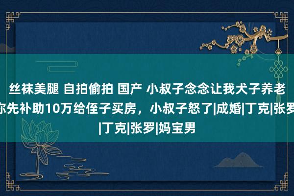 丝袜美腿 自拍偷拍 国产 小叔子念念让我犬子养老，我说你先补助10万给侄子买房，小叔子怒了|成婚|丁克|张罗|妈宝男
