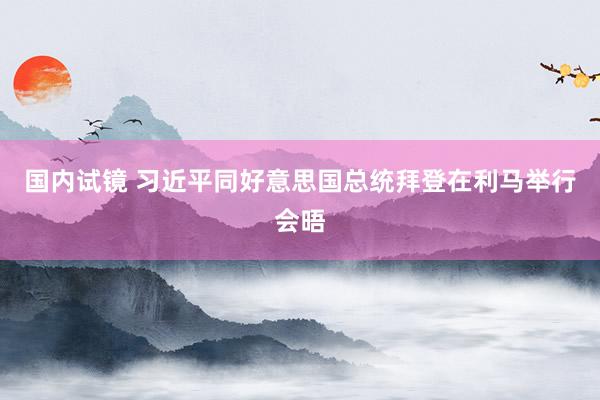国内试镜 习近平同好意思国总统拜登在利马举行会晤